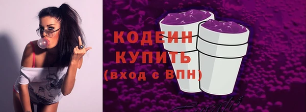 шишки Слюдянка