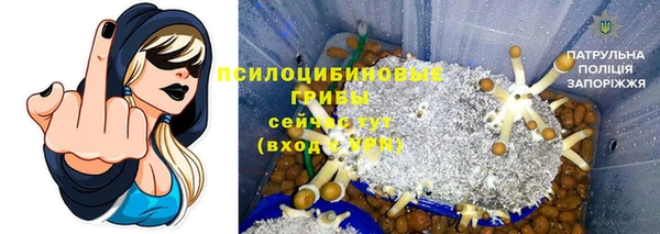 mdpv Снежногорск