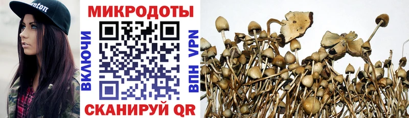 Галлюциногенные грибы Psilocybine cubensis  Баймак 